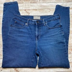 Everlane Authentic Stretch Mid Rise Skinny Jeans